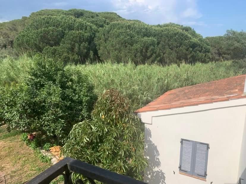 Appartement Independant Dans Villa, Entre Frejus Et St Raphael المظهر الخارجي الصورة