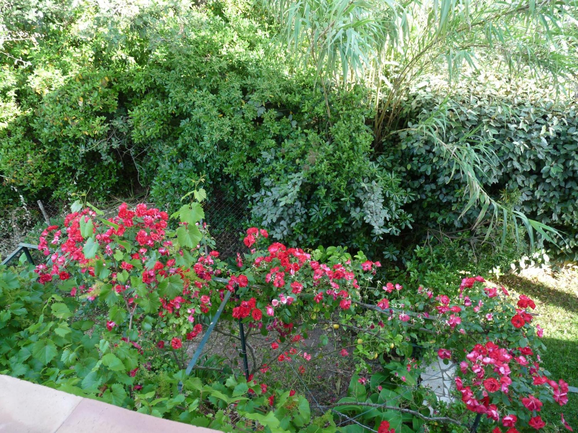 Appartement Independant Dans Villa, Entre Frejus Et St Raphael المظهر الخارجي الصورة